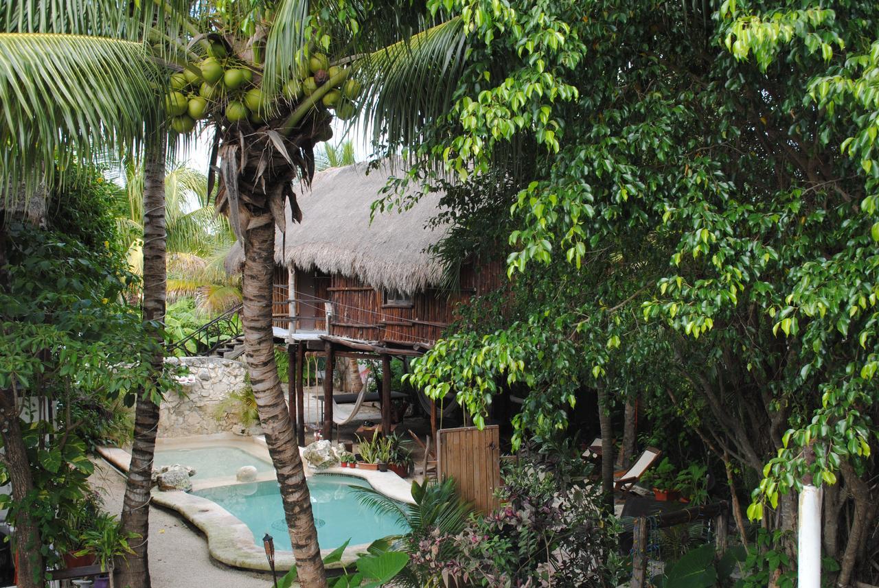 Lobo Inn Tulum Exterior photo