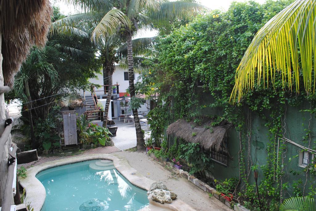 Lobo Inn Tulum Exterior photo
